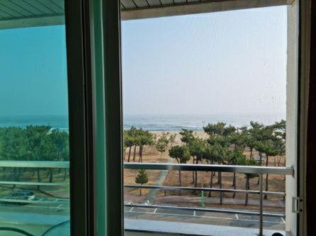 Pine Beach Yangyang Buitenkant foto