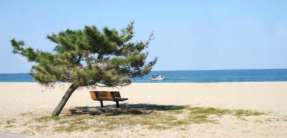 Pine Beach Yangyang Buitenkant foto